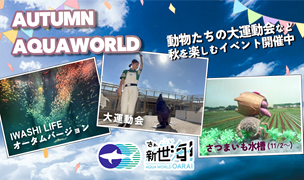 AUTUMN AQUAWORLD開催中！