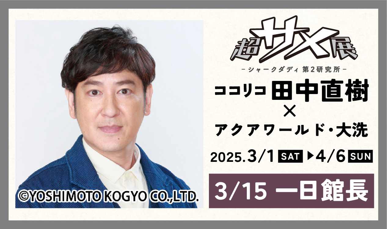 ココリコ田中直樹さんが超サメ展をさらに盛り上げる！